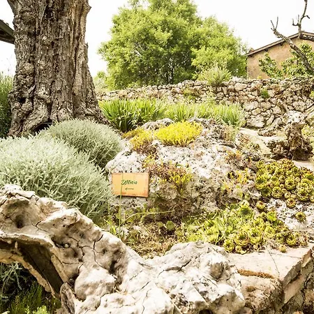 Il Caggio Agroturismo