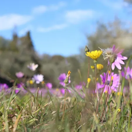Il Caggio * Sovicille