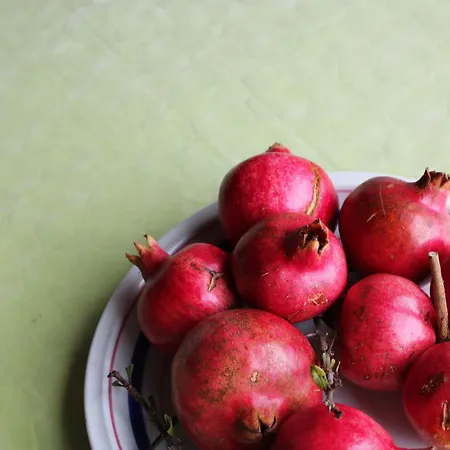 Agroturismo Il Caggio *