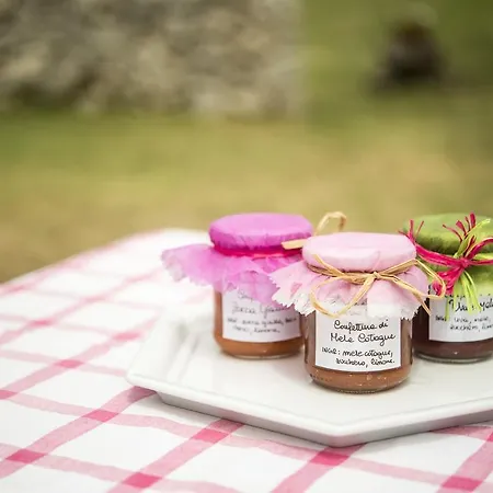 Il Caggio Agroturismo *